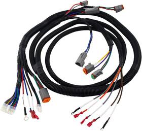 102196601  Clubrally Golf Cart Control Wiring Harness For Club Car Ds-black Replacement
