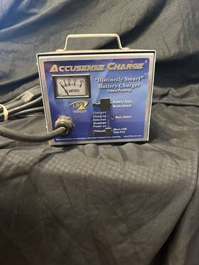 E248189 Diversified Power International Accusense Charge 48v Dpi For Rxv Golf Cart 17 Amp Battery Charger