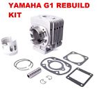 J10-11311-00 Aftermarket Nivel Yamaha G1