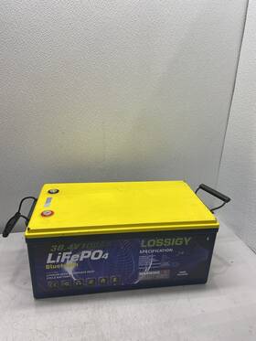 Laf36100 Lossigy 38.4v Lifepo4 Deep Cycle Lithium Battery-laf36100