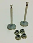 Ez Go 9HP Intake Valve And Stem Seal. Fixed Price $59.95.