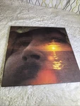 David Crosby If Could Only Remember My Name Atlantic Sd 7203 Stereo Rock Lp. Fixed Price $18.00.