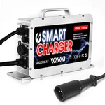 Replace Lester Electrical Links 29840 Battery Charger For Club Car Ds Precedent. Fixed Price $119.99.