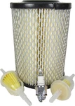 Tune-up Kit For Club Car Ds Gas 1984-91 W/341CC Engine (air/fuel Filter & Spark). Fixed Price $31.95.
