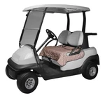 Classic Accessories Fairway Golf Cart Reversible Seat Blanket. Fixed Price $19.99.