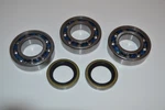Ezgo 2 Cycle Gas Golf Cart 1980-1993 Bearing And Seal Kit. Fixed Price $99.95.
