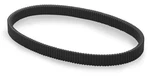 Epi Severe Duty Belt #WE265017 Polaris. Fixed Price $128.92.