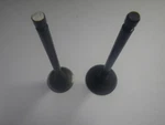 Yamaha Gas Golf Cart G22-G29 Engine Intake And Exhaust Valve Set. Fixed Price $58.95.