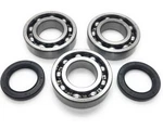 Golf Cart Cycle Engine Crankshaft Bearing Seal Kit Fit Ez 1980-1993 2PG 3PG. Fixed Price $49.89.