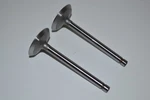 Ezgo 4 Cycle Gas Golf Cart 295CC 350CC 1992-2008 Intake Valve Set 72507-G02. Fixed Price $38.95.