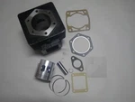 Ezgo 2 Cycle Gas Golf Cart 1989-1993 Engine Top End Rebuild Kit Cylinder & Pist. Fixed Price $250.95.