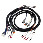 Clubrally Golf Cart Wiring Harness For Ds-black CONTROLLER#1.... Fixed Price $88.57.