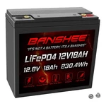 12V 18AH LIFEPO4 Battery Compatible With Lossigy Lithium Deep Cycle Bms. Fixed Price $74.88.