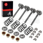 For Ezgo Robin 295CC 350CC Golf Cart 1996-2002 Intake Exhaust Valve Rebuild Kit. Fixed Price $45.99.