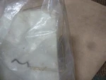 Cushman Ezgo Timer Dust Cover Bail 510599. Fixed Price $23.00.